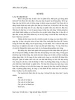 Dạy học hình thành biểu tượng một số hình hình học cho học sinh các lớp 1, 2, 3