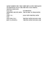 Kinh nghiệm việc thực hiện rèn luyện thói quen vệ sinh hàng ngày cho trẻ mẫu giáo trong trường mầm non