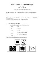 Tiểu luận Sử dụng các toán tử EROSION(phép co) và CLOSING để làm mảnh biên (Có Source Code)