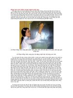 bông hoa tươi thắm trong nghành giáo dục Cà Mau