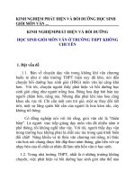 Kinh nghiệm phát hiện và bồi dưỡng học sinh giỏi môn văn ở trường thpt không chuyên