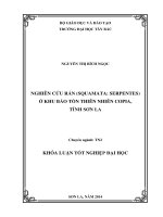 nghiên cứu rắn (squamata serpentes) ở khu bảo tồn thiên nhiên copia, tỉnh sơn la