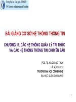 bài giảng cơ sở hệ thống thông tin chương 11. các hệ thống quản lý tri thức và các hệ thống thông tin chuyên sâu