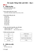 một số đề TV tham khảo cuối HKI - lop 1