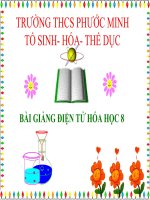 giáo án bồi dưỡng tham khảo môn hoá học lớp 8 bài sự biến đổi chất (1)