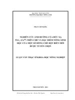 nghiên cứu ảnh hưởng của bức xạ tia γ (co 60 ) trên chè và đặc điểm nông sinh học của một số dòng chè đột biến mới được tuyển chọn