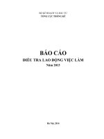 Báo cáo điều tra lao động việc làm năm 2013   bộ kế hoạch và đầu tư tổng cục thống kê
