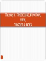 bài giảng chương iii procedure, function, view, trigger & index