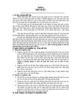 Mot so pp co ban giai bai toan cuc tri o THCS.