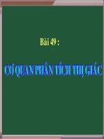 8 CO QUAN PHAN TICH THI GIAC