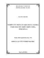 nghiên cứu thằn lằn (squamata sauria) ở khu bảo tồn thiên nhiên copia, tỉnh sơn la