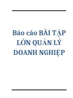 THỰC TRẠNG QUẢN LÝ DOANH NGHIỆP TẠI CÔNG TY TRÁCH NHIỆM HỮU HẠN MỘT THÀNH VIÊNVIỆT NAM KỸ NGHỆ SÚC SẢN VISSAN