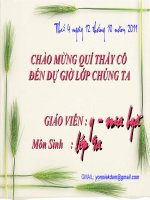 giáo án bồi dưỡng thao giảng môn sinh học lớp 9 bài adn tham khảo (2)