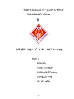 Bài tiểu luận ô nhiễm môi trường