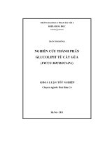 Nghiên cứu thành phần Glucolipit từ cây gừa (Ficus Microcapa)
