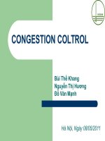 Báo cáo môn Mạng truyền dữ liệu CONGESTION COLTROL