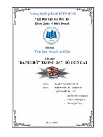 Tiểu luận môn Văn Hóa Doanh Nghiệp “BÀ MẸ HỔ” TRONG DẠY DỖ CON CÁI