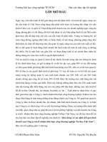 Báo cáo thực tập tốt nghiệp - Bán hàng và xác định kết quả kinh doanh cuả Công ty trách nhiệm hữu hạn công thương nghiệp Tai hua Việt Nam