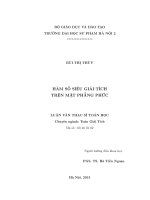 Hàm số siêu giải tích trên mặt phẳng phức