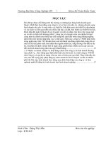 nghiên cứu tổ chức,quản lý của doanh nghiệp tnhh phát triển công nghệ máy tính vic