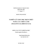 Nghiên cứu hóa học dịch chiết nước cây chiết cánh (Mallotus Glabriusculus)