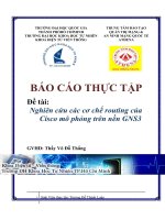 Báo cáo thực tập đề tài nghiên cứu các cơ chế routing của cisco mô phỏng trên nền GNS3