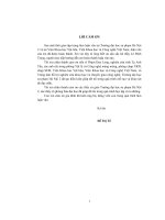Nghiên cứu sự ảnh hưởng của kích thước hạt lên đặc trưng tiêm thoát iôn liti của vật liệu điện cực catốt LiMN2O4