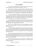 thiết kế sơ bộ ttđ trên sông spêpook thuộc hệ thống sông đồng nai nằm ở tỉnh đăc lắc