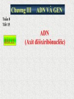 giáo án bồi dưỡng thao giảng môn sinh học lớp 9 bài adn tham khảo (1)