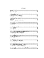 Nghiên cứu một số chủng nấm men lên men kombucha từ trà shan tuyết Hà Giang