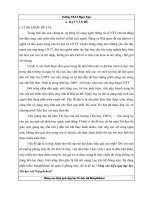 đề tài nâng cao hiệu quả dạy học tin học với netopschool