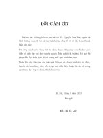 Biểu diễn tích vô hạn của hàm Gamma và ứng dụng