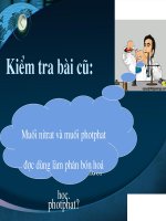 giáo án bồi dưỡng thao giảng hoá học lớp 9 bài phân bón hoá học (4)