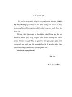 Độ đo lebesgue trên thang thời gian