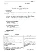 GIÁO ÁN CD 11 HKI (2011 - 2012)