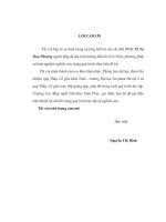 Phép tính vi phân và tích phân trên thang thời gian