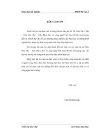 Nghiên cứu tổng hợp dẫn xuất N (3 Hyđroxy 4 Metoxybenzyliđen) Chitosan và nghiên cứu hấp phụ ion kim loại nặng