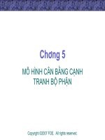 Slide bài giảng mô hình kinh tế - Mô hình cân bằng cạnh tranh bộ phận