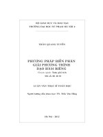 Phương pháp biến phân giải phương trình đạo hàm riêng