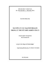 Nguyên lý cực đại pontriagin trong lý thuyết điều khiển tối ưu