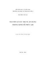 Nguyên lí cực trị và áp dụng trong kinh tế phúc lợi