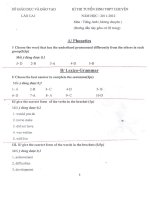 HDC đề TS THPT Chuyên môn Tiếng Anh không chuyên năm học 2011 - 2012