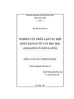 Nghiên cứu phân lập các hợp chất Lignan từ cây bục bạc (Mallotus Paniculatus)