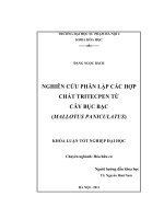 Nghiên cứu phân lập các hợp chất Tritecpen từ cây bục bạc (Mallotus Paniculatus)