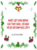 giáo án bồi dưỡng thao giảng môn sinh học lớp 9 bài adn tham khảo (5)