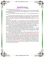 Giao vien co the lam giau