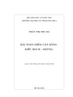 Bài toán điểm cân bằng kiểu Blum Oettli