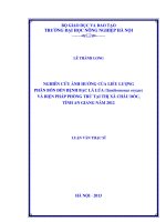 nghiên cứu ảnh hưởng của liều lượng phân bón đến bệnh bạc lá lúa (xanthomonas oryzae) và biện pháp phòng trừ tại thị xã châu đốc, tỉnh an giang năm 2012