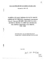 Nghiên cứu quy trình sản xuất thuốc Ampelop từ chè dây (Ampelopsis cantoniensis Planch. Vitaceae) để điều trị loét dạ dày, hành tá tràng và tiếp tục đánh giá tác dụng lâm sàng của thuốc
