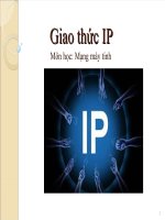 Giao thức IP môn học mạng máy tính 1
